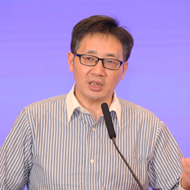 王進<br/>國家發改委國際合作中心國際能源研究所所長