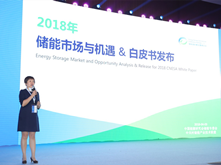2017新增電化學儲能裝機量企業(yè)排名發(fā)布 南都電源榮登榜首