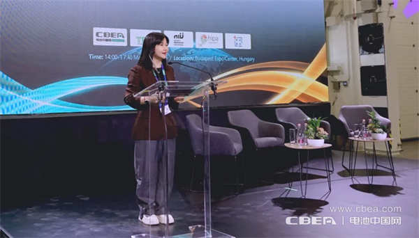 CBIS2026?可持續(xù)新能源海外論壇在匈牙利成功舉辦