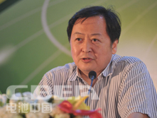 王仲穎：中國可再生能源發(fā)展展望與儲能機(jī)遇